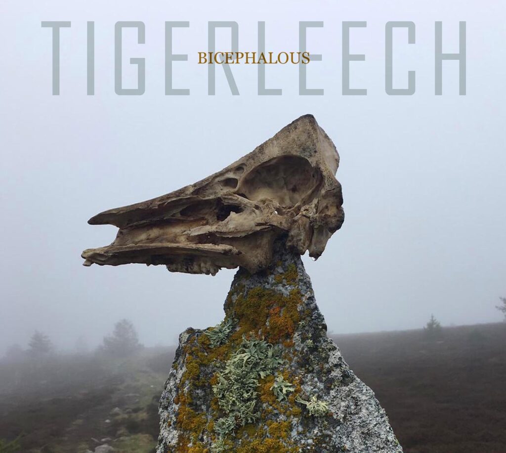 TIGERLEECH - French stoner-hardcore sludgy​ outfit drop new single + music video "When You Cross the Border"